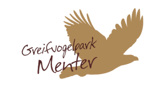 45426270 transparent 14 2 edited 300x188